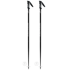Vector Ski Pole [2023]