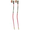 Leki WCR TBS GS 3D Ski Pole [2021]