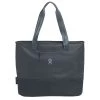 Hydro Flask Insulated Tote Bag (20L)