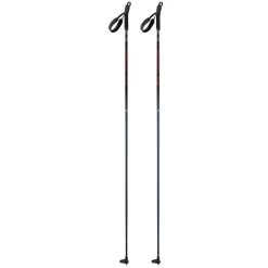 Salomon Escape Ski Pole [2021]