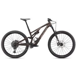 Specialized Stumpjumper EVO Comp Bike
