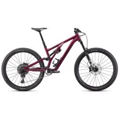 Specialized Stumpjumper EVO Comp Alloy Bike