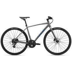 Giant Escape 2 Disc Bike