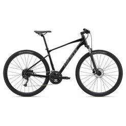 Giant Roam 2 Disc Bike