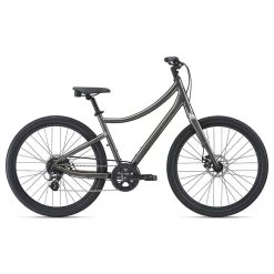 Momentum Vida Bike