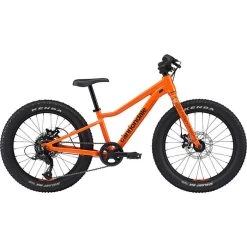 Cannondale Kids' Trail Plus 20 Bike