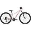 Cannondale Kids' Trail 24 Bike