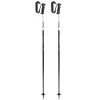 Leki Sentinel Ski Pole [2023]