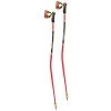 Leki WCR TBS GS 3D Ski Pole [2023]