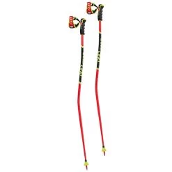 Leki WCR TBS GS 3D Ski Pole [2023]