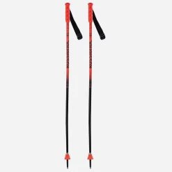 Rossignol Juniors' Hero GS-SG Jr Ski Pole [2023]
