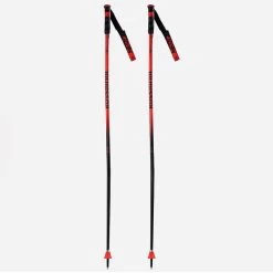 Rossignol Hero GS-SG Ski Pole [2023]