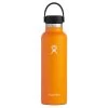 Hydro Flask Standard Mouth Insulated Bottle (21 Oz)